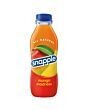 Snapple 16 oz Plastic Bottle Mango Madness - Case of 24