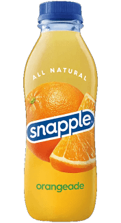 Snapple 16 oz New Plastic Bottle Orangeade - Case of 24