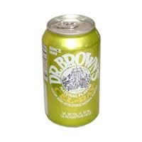 Dr. Browns Celray Soda Cans 12 oz - Case of 24