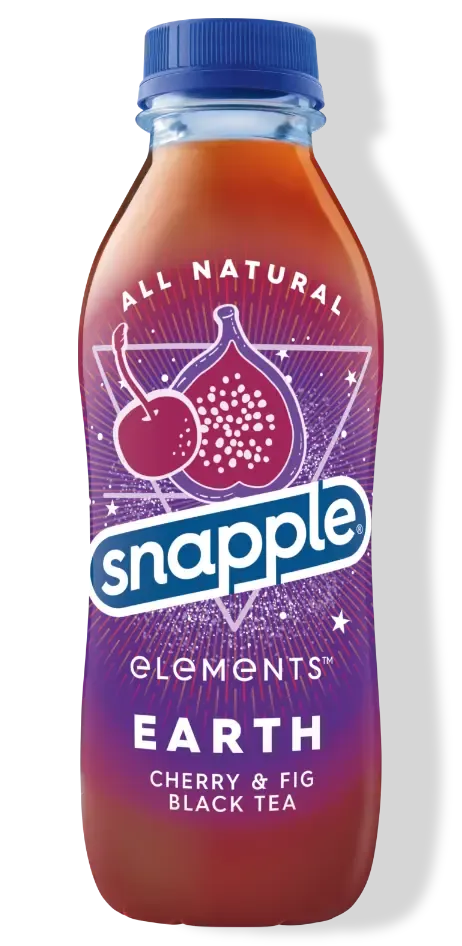 Snapple 16 oz Plastic Bottle  Earth - Case of 24