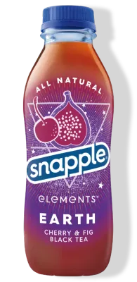Snapple 16 oz Plastic Bottle  Earth - Case of 24