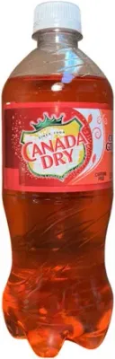 Canada Dry Cranberry Ginger Ale 20 oz - Case of 24