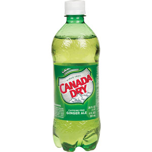 Canada Dry Ginger Ale 20 oz - Case of 24