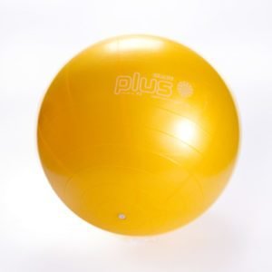 Gymnic Ball 45cm