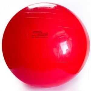 Gymnic Ball 85cm