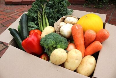 Veg Only Box