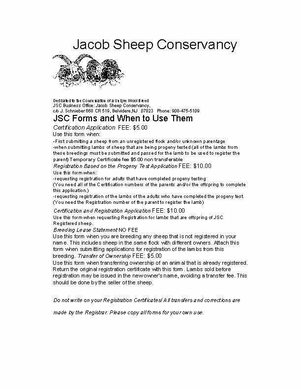 Transfer Papers