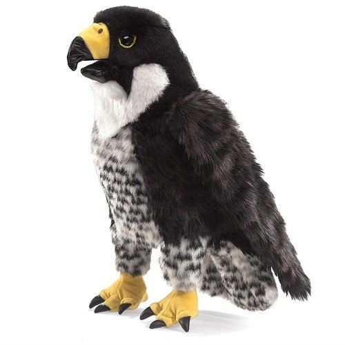 Puppet - Falcon