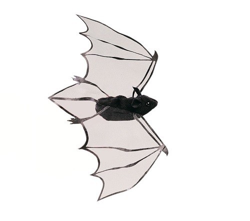 Puppet - Mini Bat