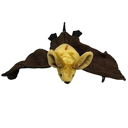 Cute Brown Bat