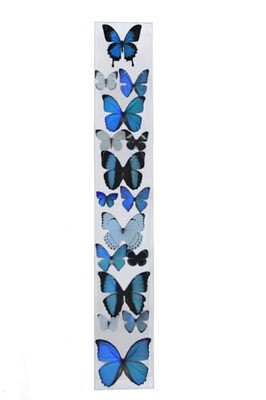 19 - 6" X 36" Butterfly Display Museum Mount