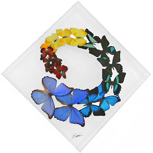 22 - 15" X 15" Diamond Butterfly Display Swirl