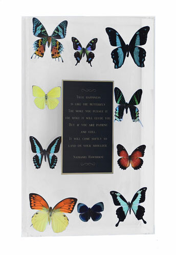 15 - 10&quot; X 17&quot; Plaque Butterfly Display