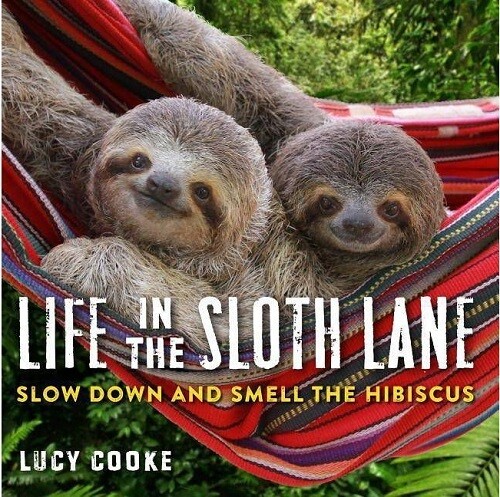 Life in the Sloth Lane