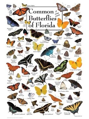 Puzzle - Butterflies of Florida