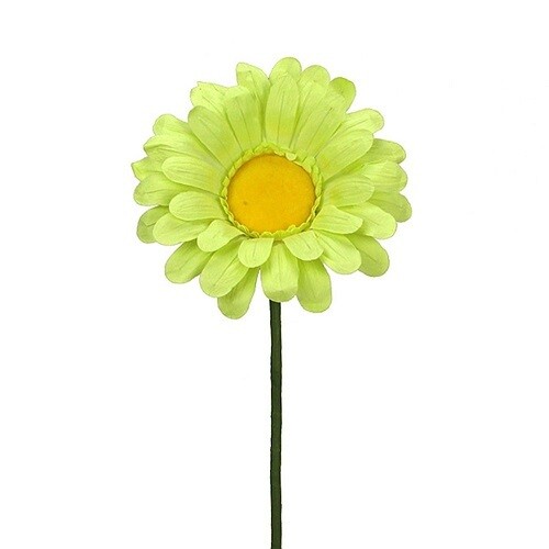 Flower - Single Daisy 21&quot;, Color: Green