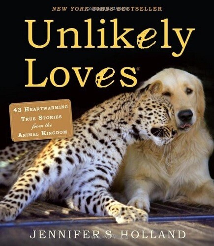 Book - Unlikely Loves