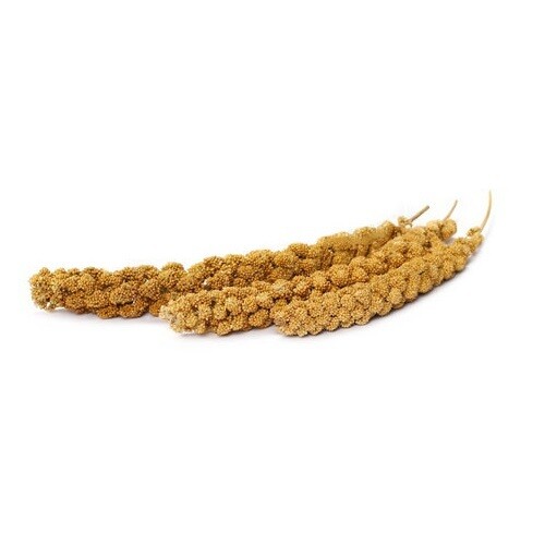 Feeder - Millet Sticks