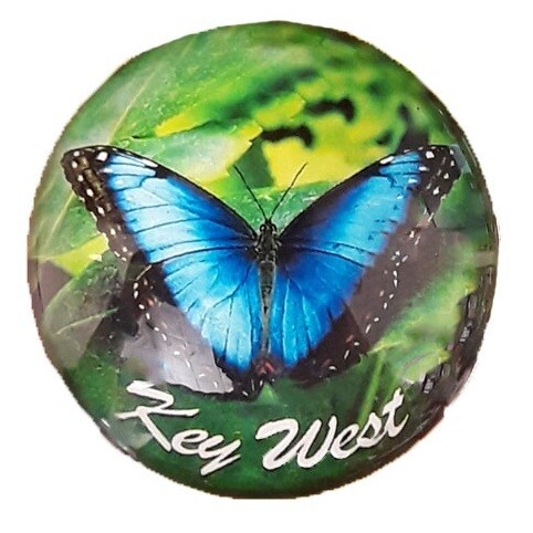 Magnet - Round Glass, Style: Morpho