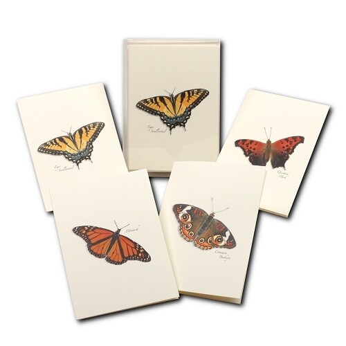 Notecards - Assortment, Style: Butterfly (Assortment of 4)