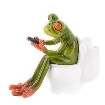 Figurine - Funny Frog, Style: On Toilet