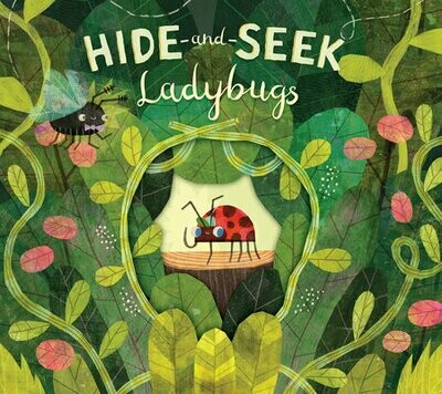 Book - Hide and Seek Ladybug
