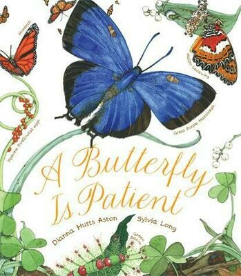 Book - A Butterfly is Patient