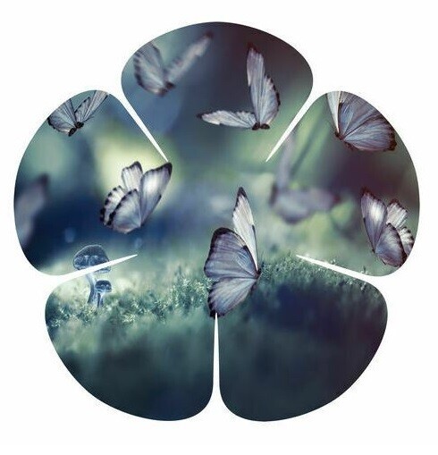 Wall Art - Refraction Flower, Style: Butterfly