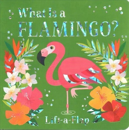 Book - What is a Flamingo?