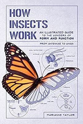 Book - How Insects Work