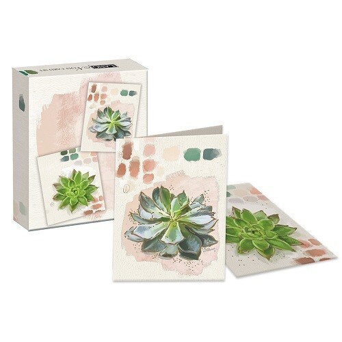 Note Cards  - Succulent Study
