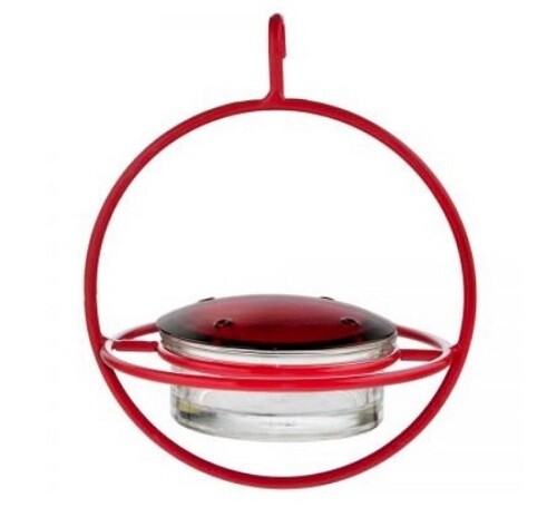 Feeder - Hummble Bold Hummingbird Red