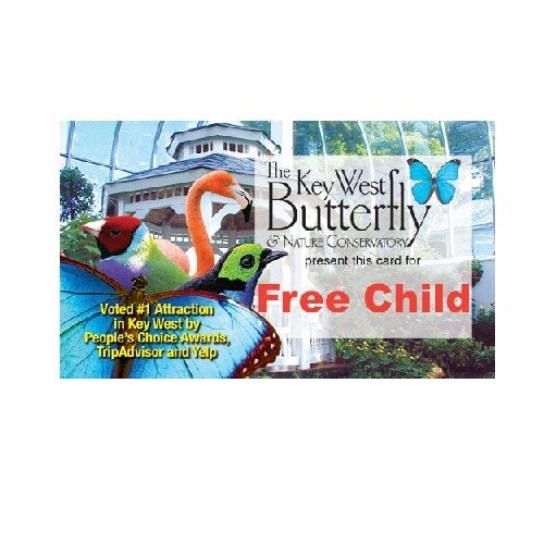 Admission - Free Child (3yrs &amp; under)