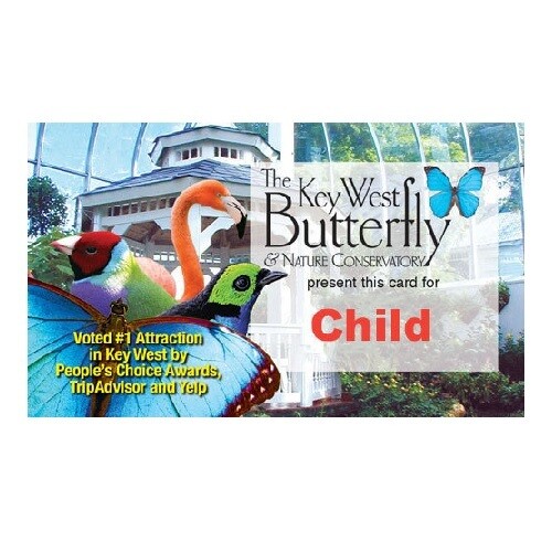 Admission - Child (4-12yrs)