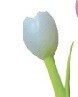 Pen - Tulip Color Changing, Color: Blue
