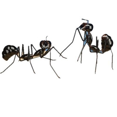 Ant - Large Metal Black Ants