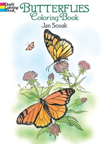 Book - Butterflies Coloring Book