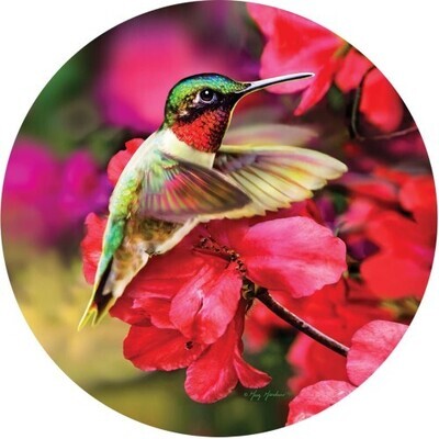 Suncatcher - Floating Hummingbird