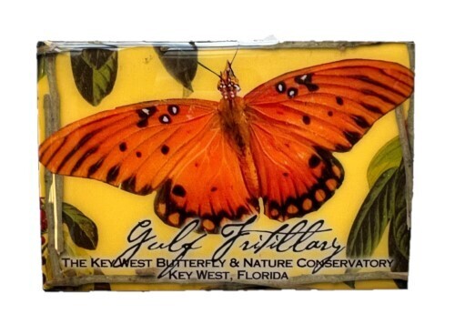 Magnet - Gulf Fritillary
