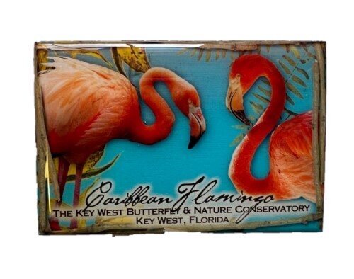Magnet - Flamingo