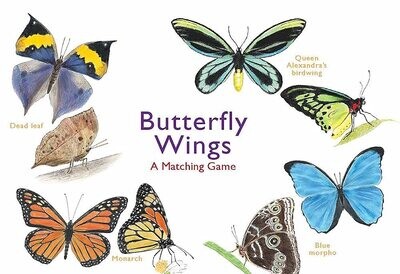 Game - Butterfly Wing Matching Game