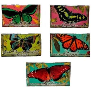 Magnet - Butterflies