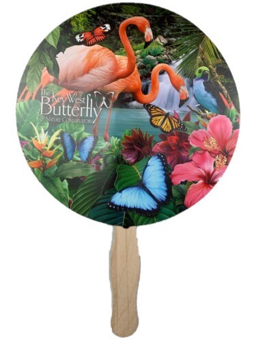 Fan - Hand Key West Butterfly and Nature Conservatory