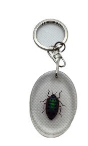 Key Chain - Single Bug, Style: 1
