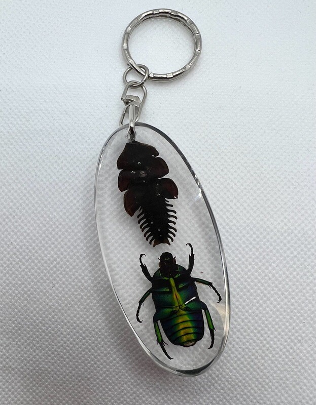 Key Chain - Double Bug