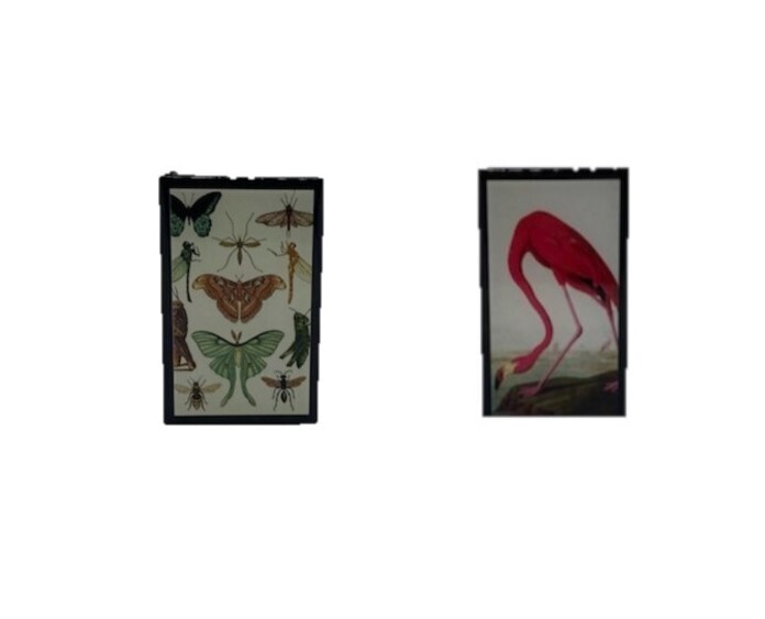 Match Box -  Flamingo or Butterflies