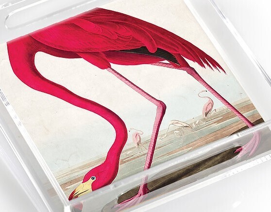 Lucite Tray - Flamingo Round