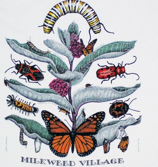 Tea Towel - Milkweed Village