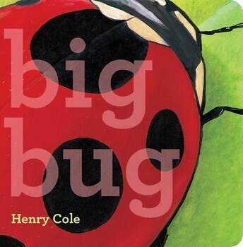 Book - Big Bug
