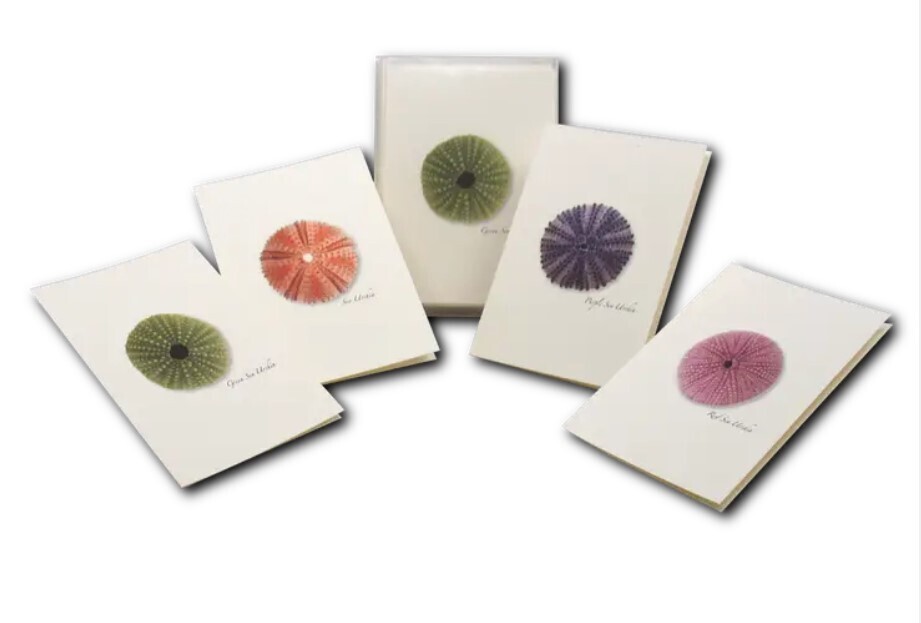 Notecards - Sea Urchins Assortment